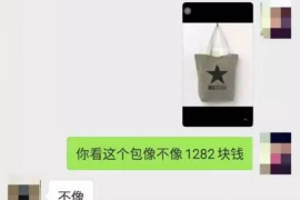 东至东至的要账公司在催收过程中的策略和技巧有哪些？